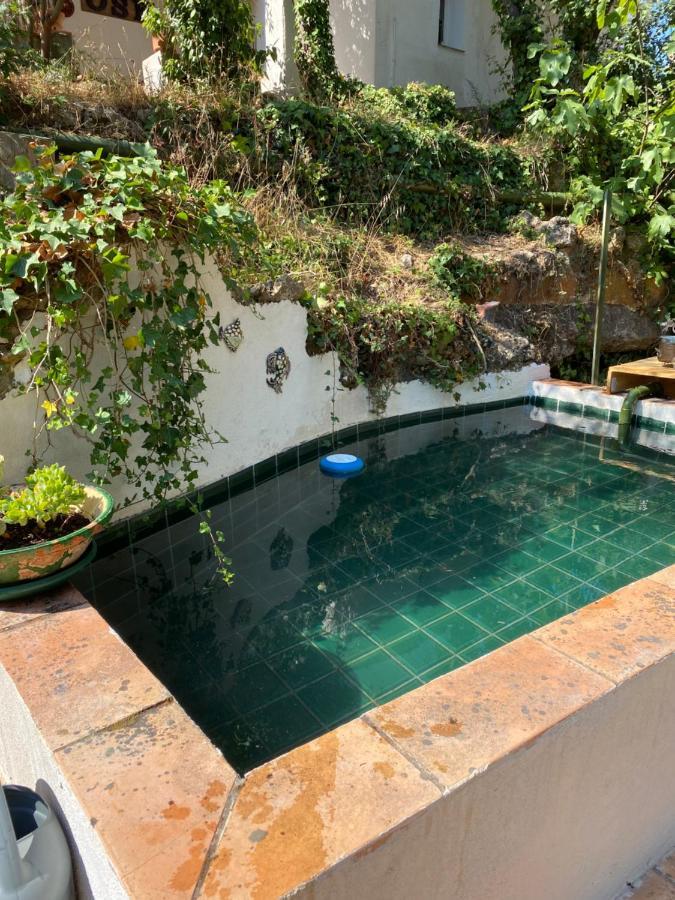 La Mahasiah Villa Puget-sur Argens Kültér fotó